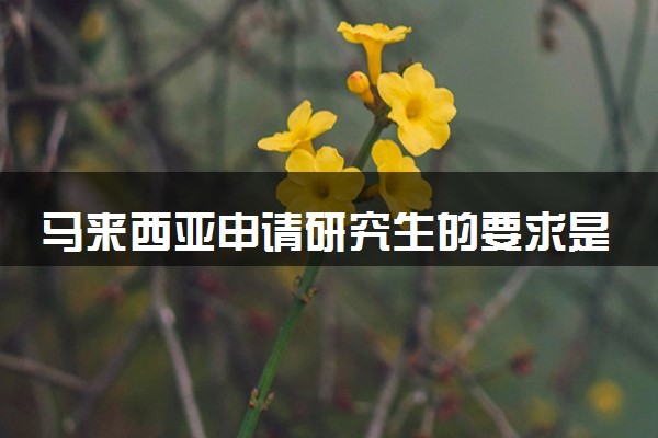 马来西亚申请研究生的要求是什么 通过率高吗