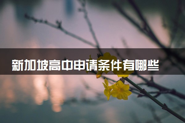 新加坡高中申请条件有哪些 用国内成绩可以吗