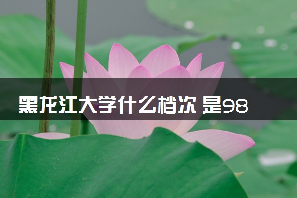 黑龙江大学什么档次 是985还是211