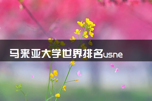马来亚大学世界排名usnews 相当于国内什么大学