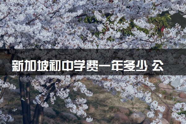 新加坡初中学费一年多少 公立中学的