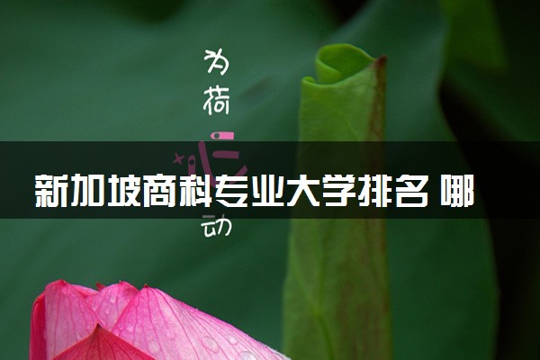 新加坡商科专业大学排名 哪些院校比较好