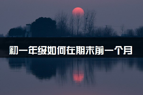 初一年级如何在期末前一个月提升英语成绩