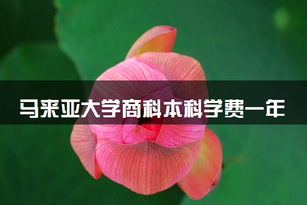 马来亚大学商科本科学费一年多少 读什么专业好