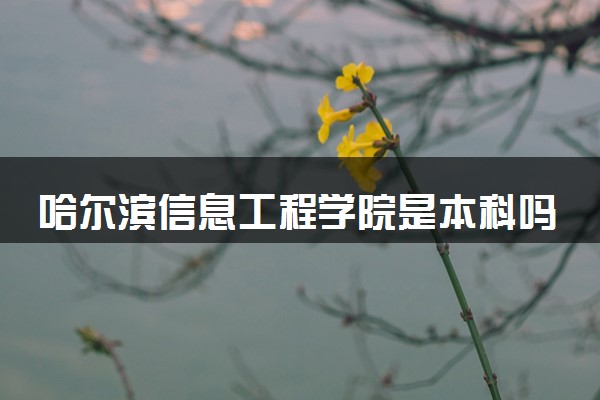 哈尔滨信息工程学院是本科吗 学校怎么样