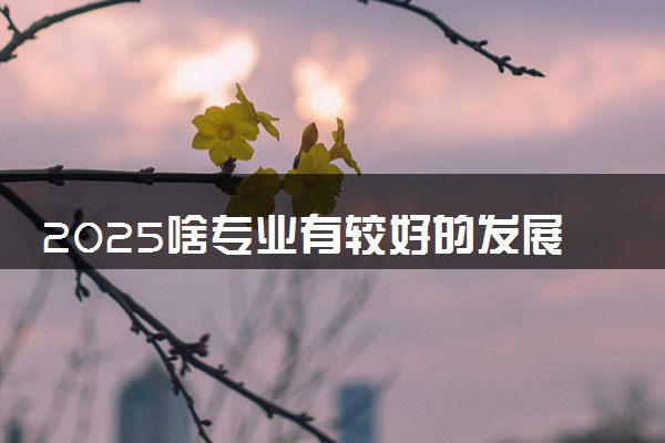 2025啥专业有较好的发展前景 高薪有前途的专业推荐