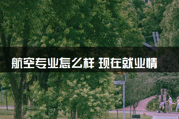 航空专业怎么样 现在就业情况好吗