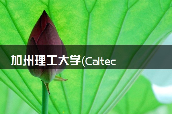 加州理工大学（Caltech)学费包括哪些费用 一年大概多少钱