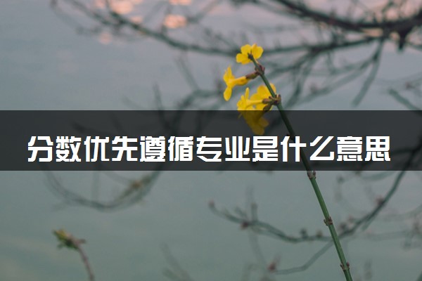 分数优先遵循专业是什么意思 最新高考录取规则解读