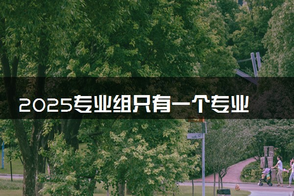 2025专业组只有一个专业怎么调剂 专业调剂规则