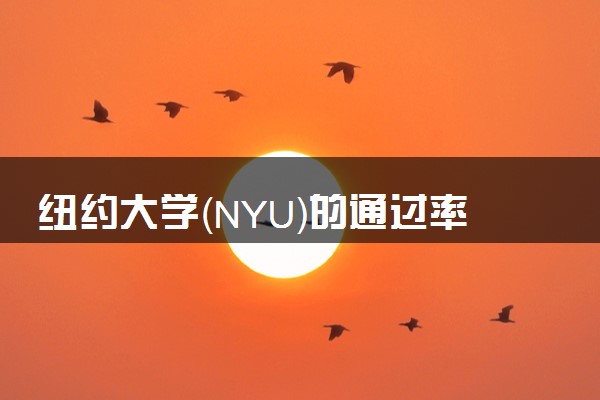 纽约大学（NYU）的通过率 好申请吗