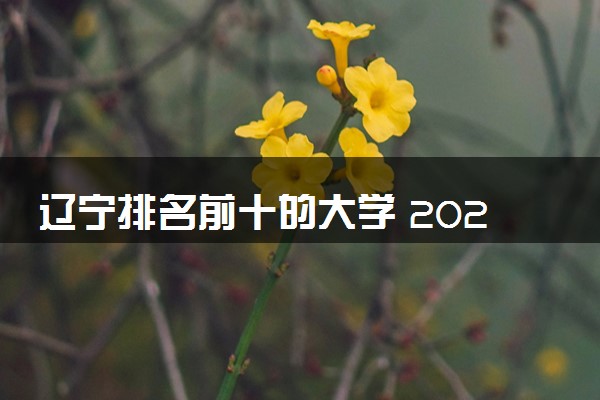 辽宁排名前十的大学 2025高校最新排行榜