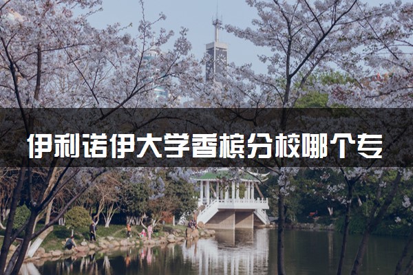 伊利诺伊大学香槟分校哪个专业最牛 有什么特点