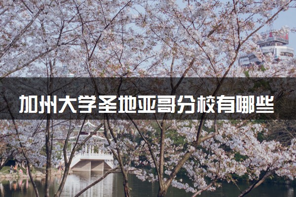 加州大学圣地亚哥分校有哪些专业可选 哪个最受欢迎