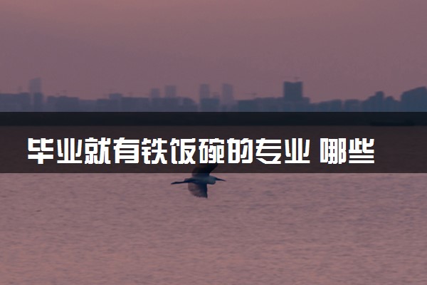 毕业就有铁饭碗的专业 哪些专业就业率极高