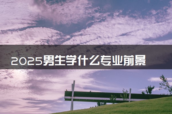 2025男生学什么专业前景好 热门高薪专业推荐