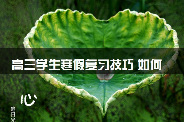 高三学生寒假复习技巧 如何高效复习
