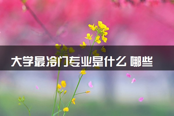大学最冷门专业是什么 哪些专业报考人数少
