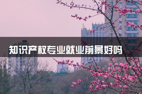 知识产权专业就业前景好吗 需要考研吗