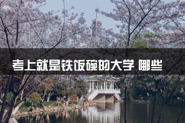 考上就是铁饭碗的大学 哪些院校好就业