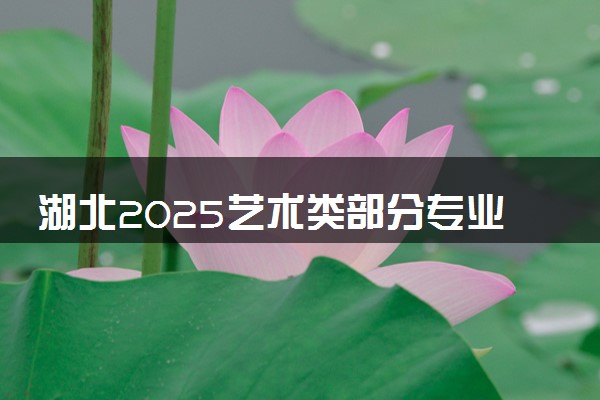 湖北2025艺术类部分专业统考成绩公布 如何查询分数