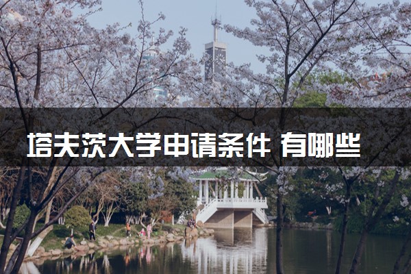 塔夫茨大学申请条件 有哪些要求
