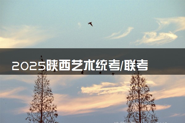 2025陕西艺术统考/联考成绩查询时间及入口