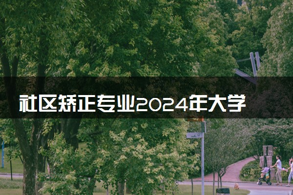 社区矫正专业2024年大学排名 最好的大学排行榜