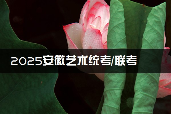2025安徽艺术统考/联考成绩什么时候出来