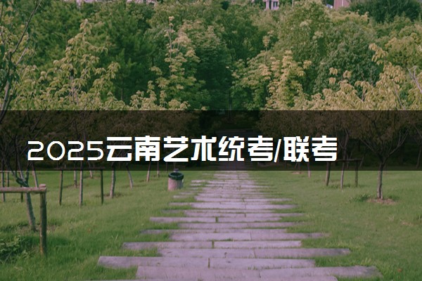 2025云南艺术统考/联考成绩什么时候出来