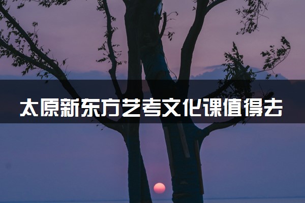 太原新东方艺考文化课值得去吗