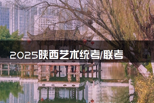 2025陕西艺术统考/联考成绩什么时候出来