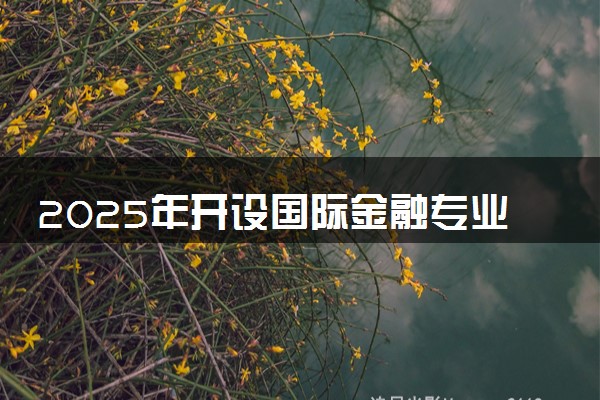 2025年开设国际金融专业大学排名及评级 高校排行榜