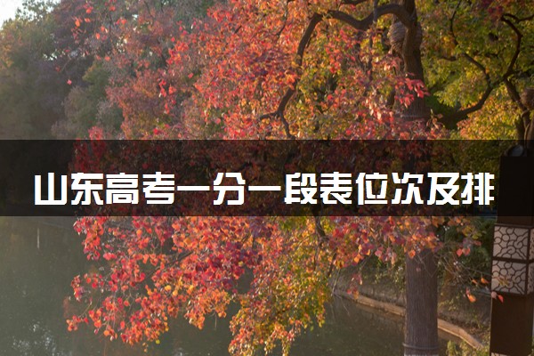 山东高考一分一段表位次及排名完整版（2025年参考）
