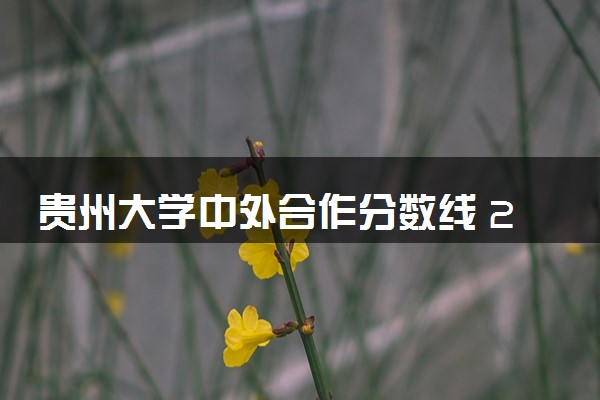 贵州大学中外合作分数线 2025多少分能录取