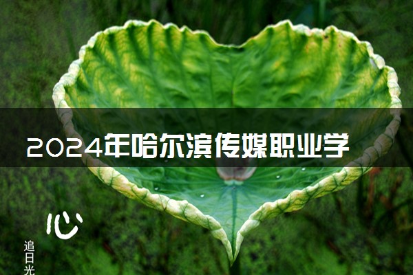2024年哈尔滨传媒职业学院录取分数线是多少 各省最低分数线及位次