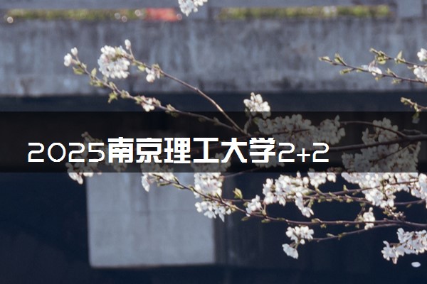 2025南京理工大学2+2国际本科招生简章