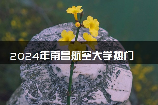 2024年南昌航空大学热门专业全国排名 有哪些专业比较好