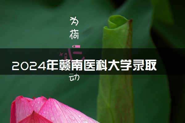 2024年赣南医科大学录取分数线是多少 各省最低分数线及位次