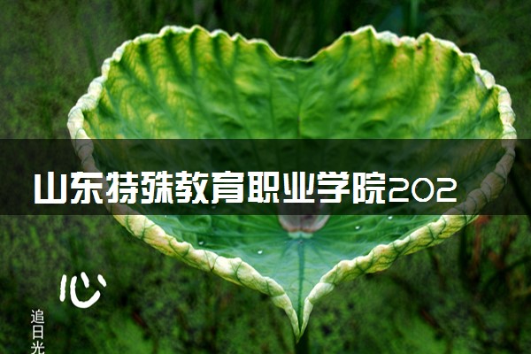 山东特殊教育职业学院2024年各省录取分数线 多少分能考上