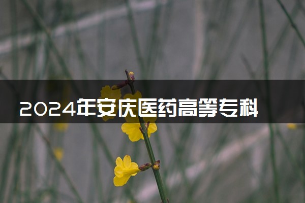 2024年安庆医药高等专科学校录取分数线是多少 各省最低分数线及位次