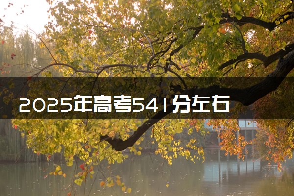 2025年高考541分左右能上什么大学 可以报考院校有哪些