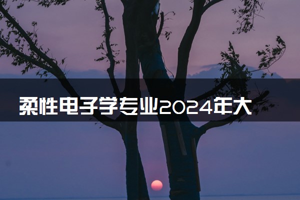 柔性电子学专业2024年大学排名 最好的大学排行榜
