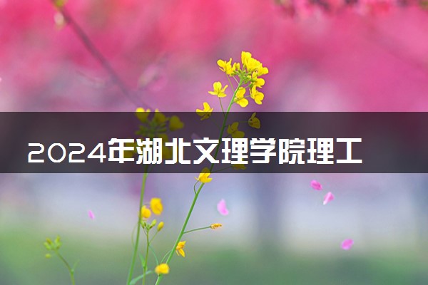 2024年湖北文理学院理工学院录取分数线是多少 各省最低分数线及位次