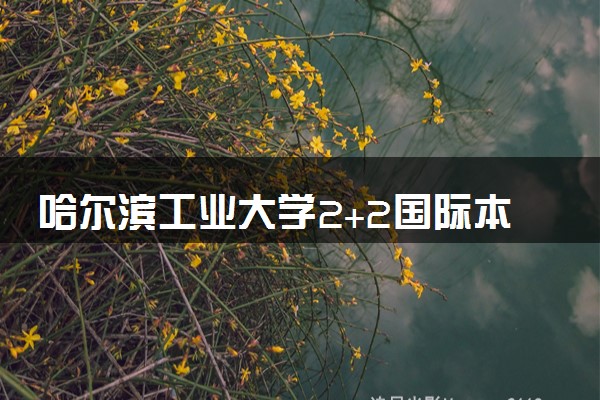 哈尔滨工业大学2+2国际本科收费标准 学费多少钱