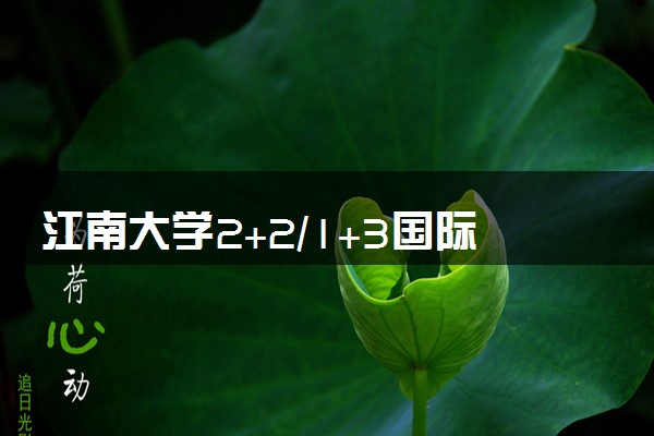 江南大学2+2/1+3国际本科收费标准 学费多少钱