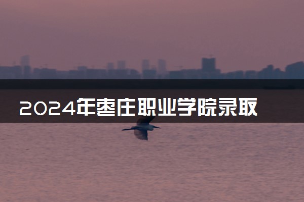2024年枣庄职业学院录取分数线是多少 各省最低分数线及位次