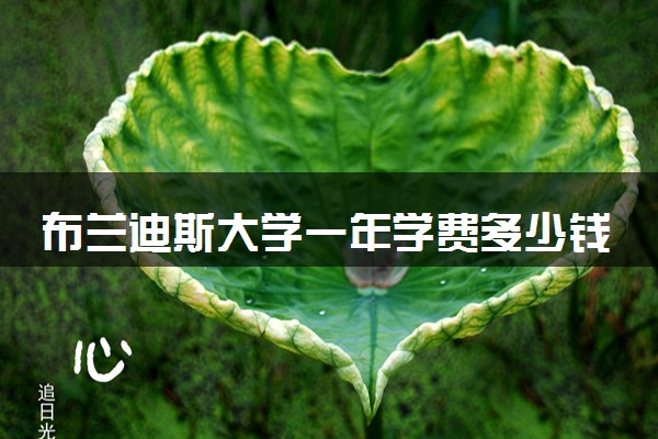 布兰迪斯大学一年学费多少钱 读完有用吗