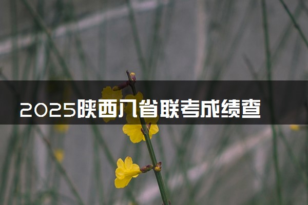 2025陕西八省联考成绩查询时间什么时候 几号出分