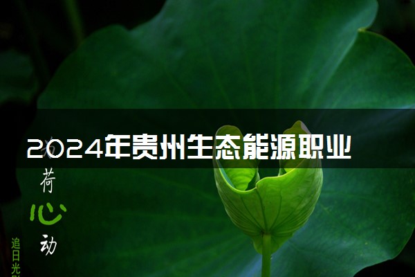 2024年贵州生态能源职业学院录取分数线是多少 各省最低分数线及位次